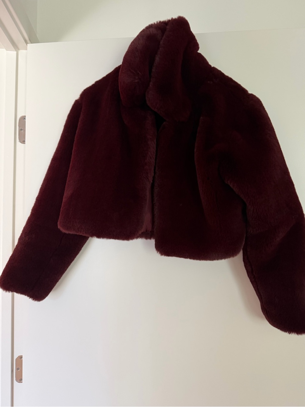 AKIRA Plush Cropped Teddy Jacket - Burgundy